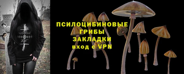 первитин Балахна