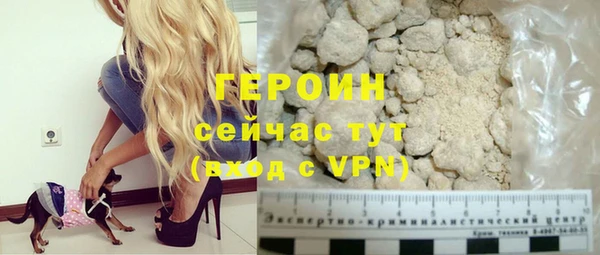 индика Ельня