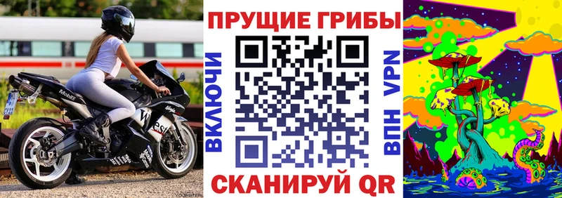 Галлюциногенные грибы Psilocybe  даркнет состав  Высоковск  цена  